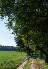 Poster - woman walks dog in rural countryside near nijmegen in the netherlands