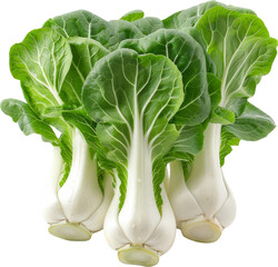 Fresh bok choy isolated on white background. Vibrant green leaves and crisp stems, perfect for a healthy diet and culinary use.