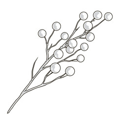 Wall Mural - Branch with berries label monochrome