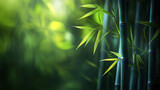 A green background with a single bamboo stalk in the foreground. The bamboo is tall and slender, with leaves that are long and thin. Concept of calm and tranquility, as the bamboo is a symbol of peace