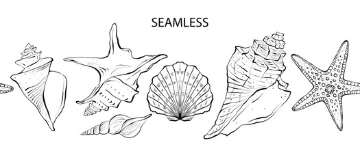 Seashells seamless graphic border, template on white background. Hand drawn illustration in line art style. Underwater world, background for invitations, cards and packaging