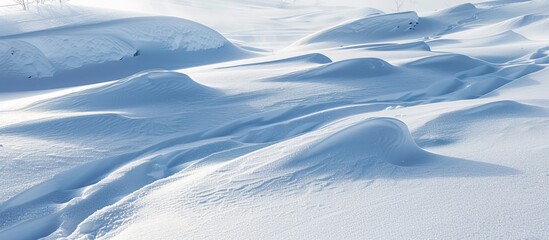 Poster - Winter scene with snowy ground and patterns shaped by wind on the snow surface ideal as a copy space image