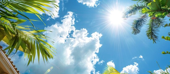 Wall Mural - Sunny sky with white clouds showcasing palm trees and a house top perfect for a copy space image