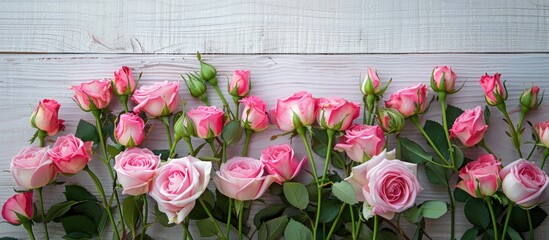 Fototapete - Pink roses arranged on a pale grey wooden backdrop with copy space image