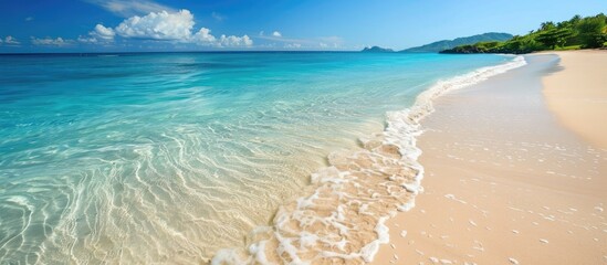 Poster - Stunning tropical beach with crystal clear ocean waters in the background ideal for a copy space image