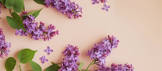 Aufkleber - Floral lilac branch displayed as a flat lay with a close up view on a soft beige background offering copy space in a top view composition square
