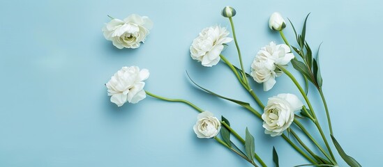 Wall Mural - Flat lay of lovely Eustoma flowers on a soft blue backdrop ideal for adding text with copy space image