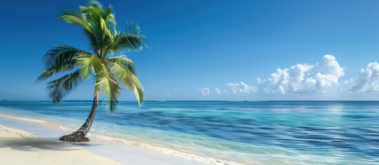 Poster - A palm tree on a pristine beach with azure waters creating a serene scene with copy space image