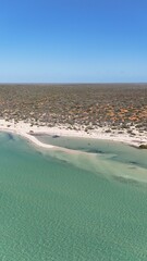 Canvas Print - Scenic view of coastal landscape of Monkey Mia, Western Australi