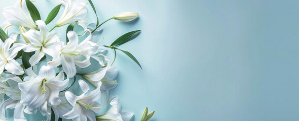 Sticker - White Lilies on Blue Background.