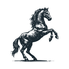 Wall Mural - The great stallion horse. Black white vector illustration.