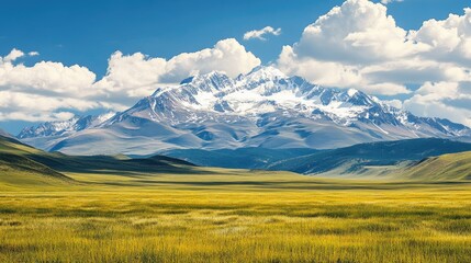 Wall Mural - Summer landscape of the Tibetan Plateau with snowy peaks. Clear view, high quality, ample copy space