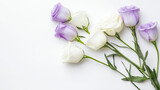 Delicado arranjo de flores de eustoma brancas e roxas sobre um fundo branco, enfatizando sua natureza suave e elegante