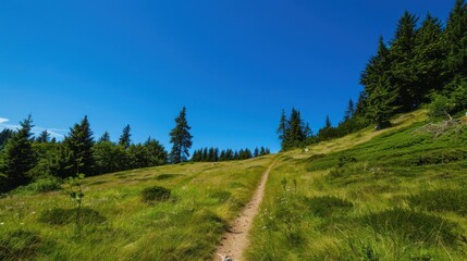 Wall Mural - Summer hiking with clear blue skies.