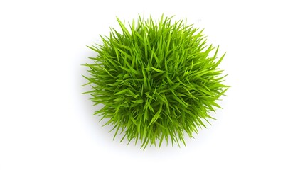 a vibrant patch of green grass isolated on a white background.