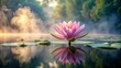 © boxs - Pink Water Lily in a Misty Morning  Generative AI