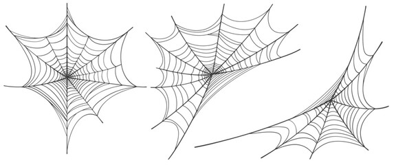 Wall Mural - Vector Set of spider web on white