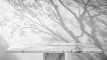 Poster -  Monochrome photo featuring a marble table and tree shadow on a white wall, perfect for showcasing product designs