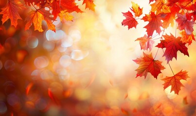 Wall Mural - Red Maple Leaves Against A Blurry Autumn Background