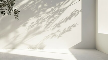 Wall Mural - Empty white room corner with sunlight and leaf shadows, white background with copy space.