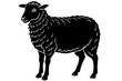 © Trendy CraftSVG  - Silhouette of sheep, sheep icon, Sheep silhouette isolated on white background. Vector illustration