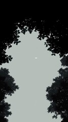 Sticker - Mysterious Sky Framed by Dark Forest Canopy