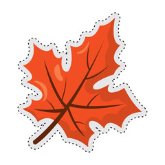Wall Mural - leaf autumn sticker icon vector