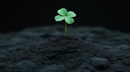 Wall Mural - Green Plant Emerging from Dark Soil