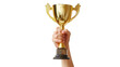 © PNG Kingdom  - hand holding a gold trophy on transparent background