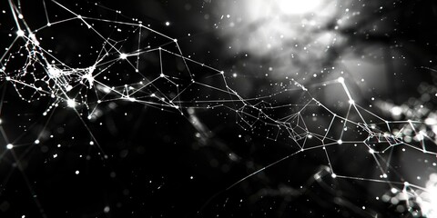 spider web with dew