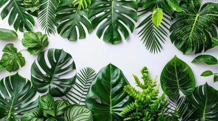 Aufkleber - The arrangement features an assortment of tropical leaves in varying shades of green on a light backdrop, highlighting their unique shapes and patterns