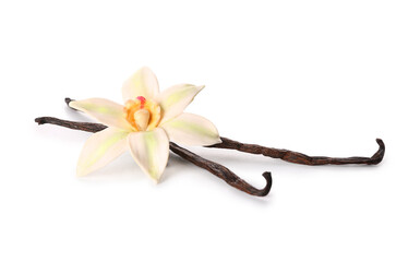 Poster - Beautiful vanilla flower and sticks on white background