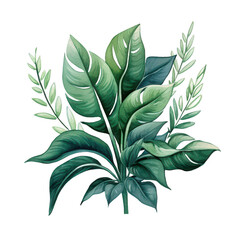 Wall Mural - A green leafy plant with a large leafy stem