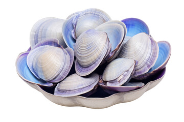 Wall Mural - A bowl of blue and white shells