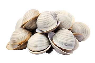 Wall Mural - A pile of shells with a white background