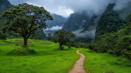 Tourist attraction, Machu Picchu, Andes mountains Background