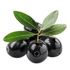 Wall Mural - Black olives with leaves clip art