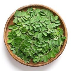 Moringa leaves isolated on white