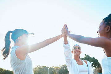 Sticker - Sport, women and hands together at park for support with game celebration, partnership or match victory. Tennis player, group and team building at practice with workout success or lens flare on field