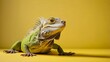 © *** *** - Green iguana isolated on yellow background. Banner with copy space. Close up, side view. National Iguana Awareness Day