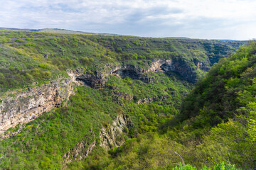 Wall Mural - Deep canyon surrounded by rocks covered with trees and bushes. Blue sky with clouds.