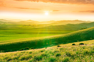 Wall Mural - panoramic spring season landscape of beautiful greel field with yellow and salad hills and mountains in countryside