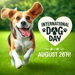 © Ayaz - Joyful Beagle running on grass, celebrating International Dog Day on August 26th with boundless energy