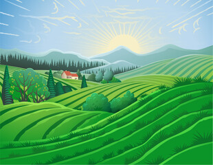 Wall Mural - Rolling hills, fields and farm or vineyards background illustration. Forests and mountains in the background.