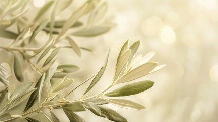 Wall Mural - A close-up view of an olive branch with delicate, green leaves. The background is a soft, blurred image of a bright, sunny sky.