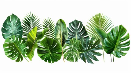 Aufkleber - A variety of lush, green tropical leaves arranged artistically against a clean white backdrop, highlighting their unique shapes and textures
