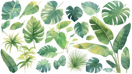 Aufkleber - A vibrant collection of tropical leaves showcases various shapes and sizes, perfect for adding a touch of nature to any design project