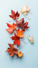 Sticker - Maple leaves on blue background, autumn background with copy space.