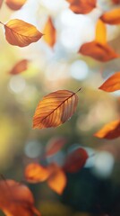 Poster - Autumn leaves background, fall backdrop	