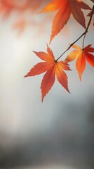 Poster - Autumn maple leaves background, fall backdrop	